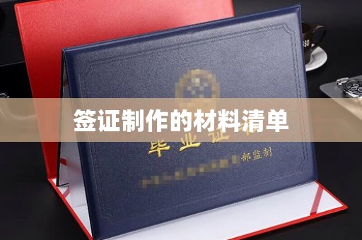 师宗签证制作的材料清单